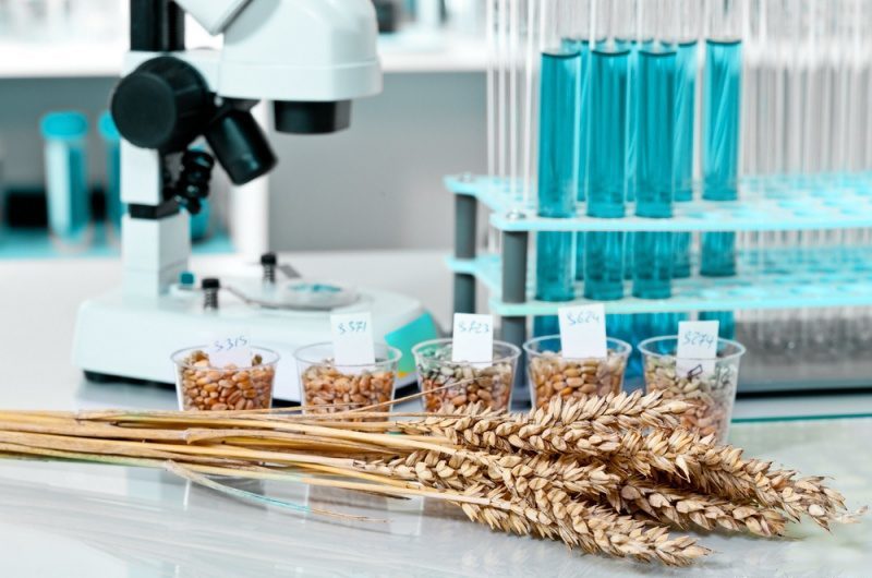 Экспорт зерна и сельхозпродукции